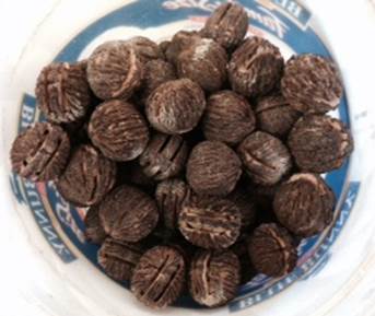 Bowl of sawn walnuts